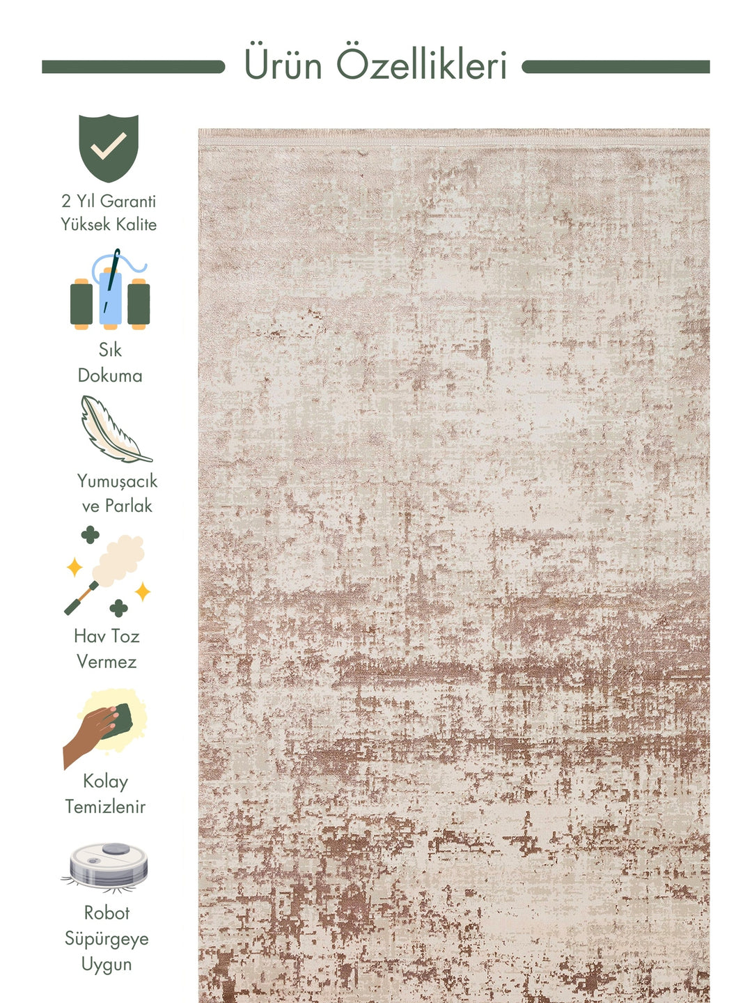 Paris Shiny Silky Looking Living Room Hallway Entrance Modern Carpet 01 VIZON NW