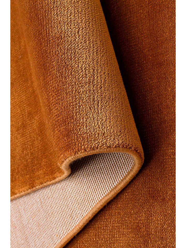 Queen Series 100% Natural Viscose Bright Modern Handcrafted Living Room Carpet TERRA